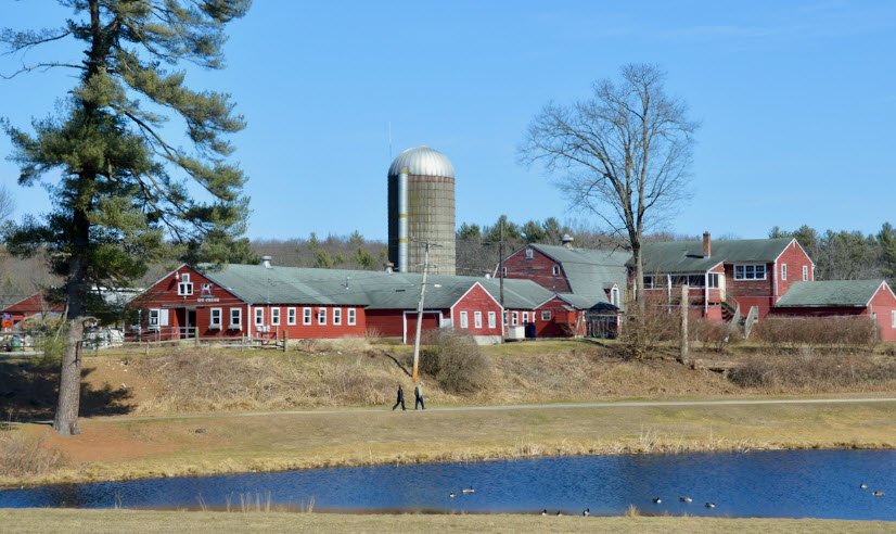 Great Brook Farm State Park, Massachusetts, USA